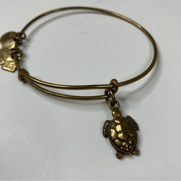3/$30 Alex and Ani | Gold Charity By Design Turtle Charm Bracelet - Picture 3 of 4